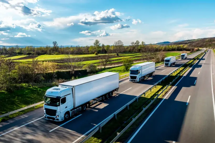 How To Plan A Stress-free Long Distance Relocation in Ottawa, ON